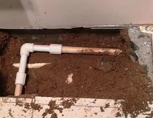 揭阳市测漏水哪家好