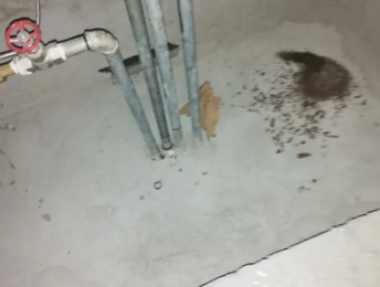 揭阳市卫生间测漏水价格明细