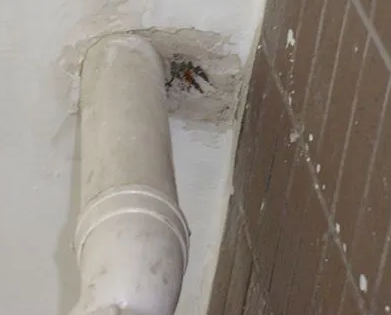 揭阳市漏水检测哪家好